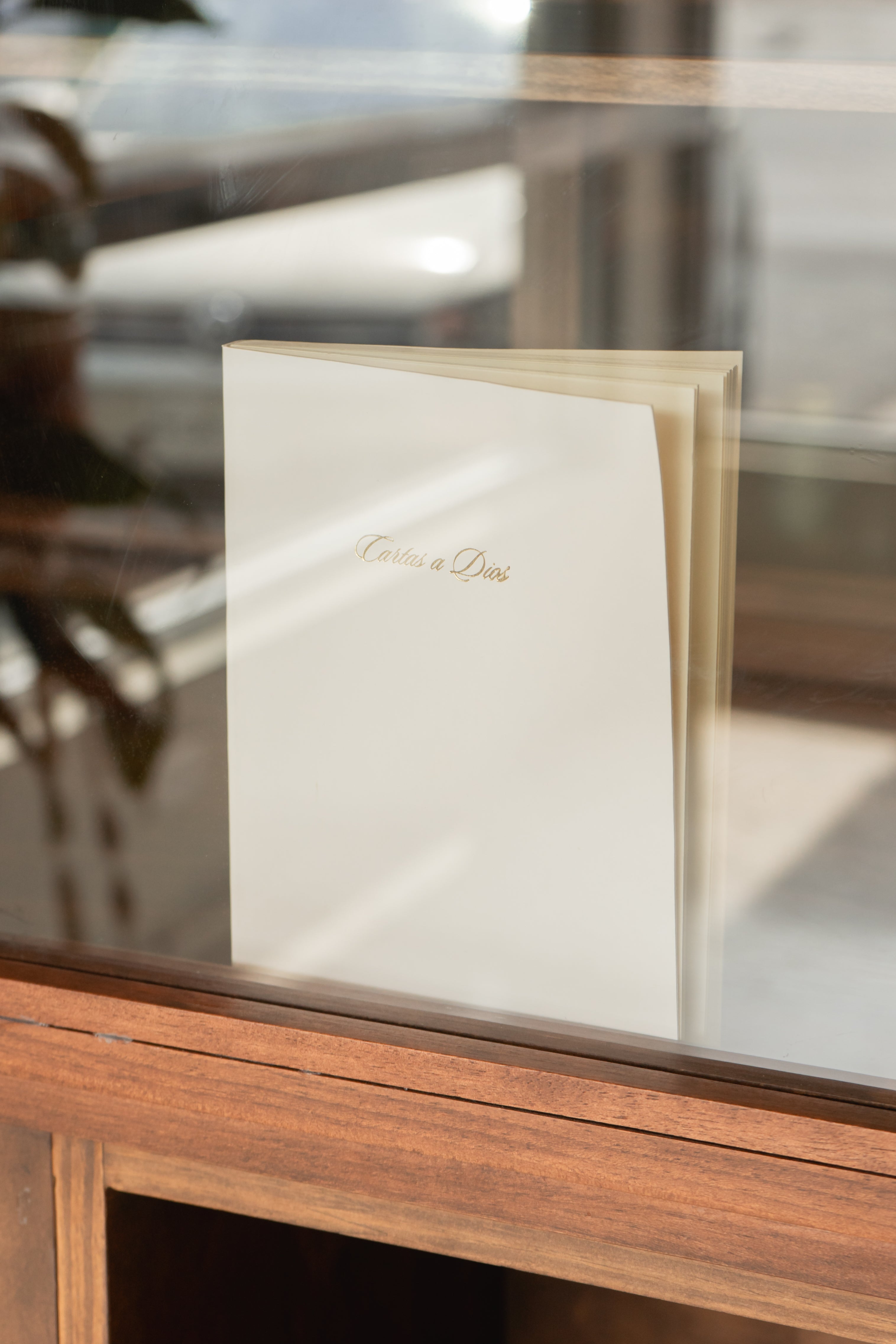 Cartas a Dios Journal