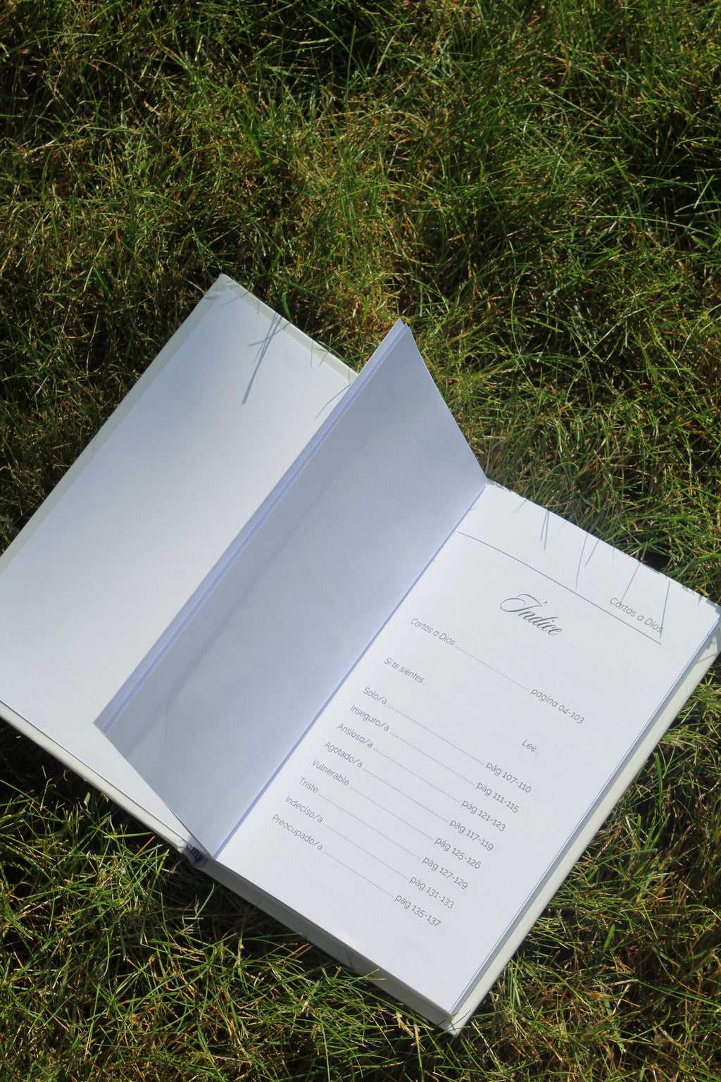 Cartas a Dios Journal